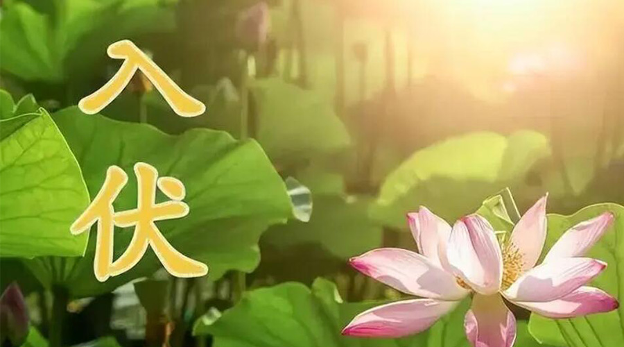 入伏天來襲！金環(huán)電器提醒大家要注意的事項