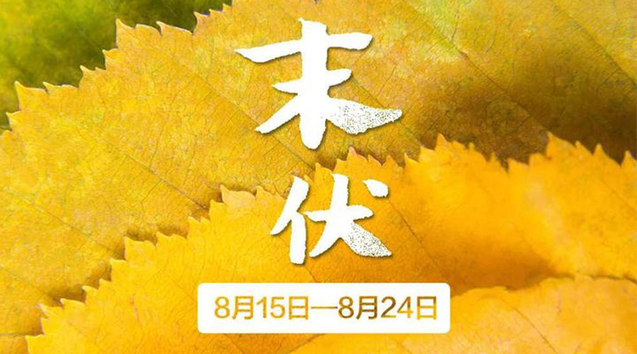 末伏時節(jié)！金環(huán)電器提醒你謹(jǐn)記這些注意事項