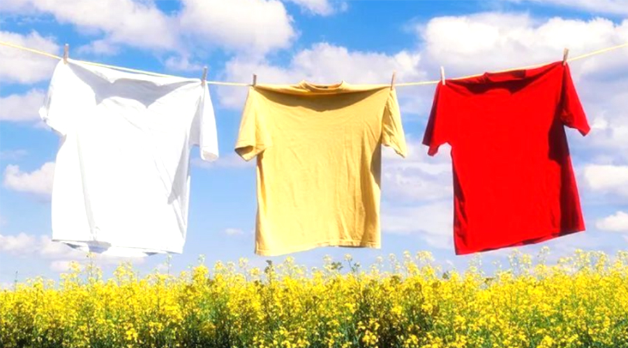 三伏天持續(xù)40天！金環(huán)電器提醒高溫天氣下晾曬衣物的弊端
