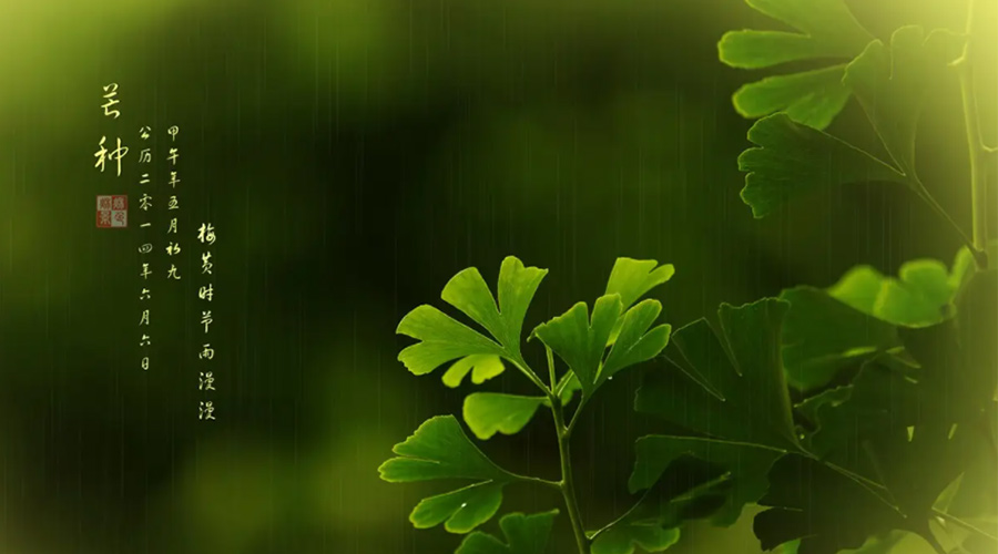 芒種時節(jié)！金環(huán)電器提醒大家的注意事項