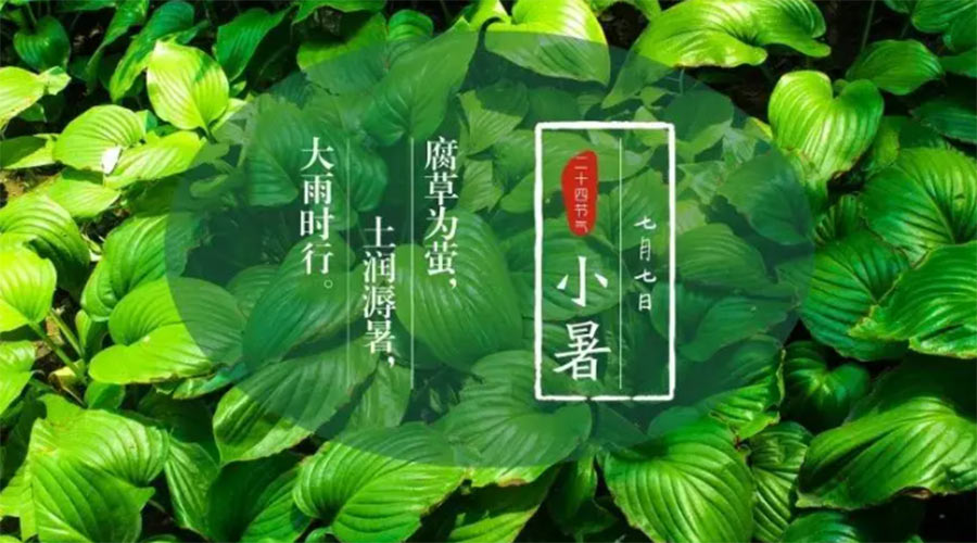 小暑時節(jié)來到！金環(huán)電器提醒大家要注意的事項