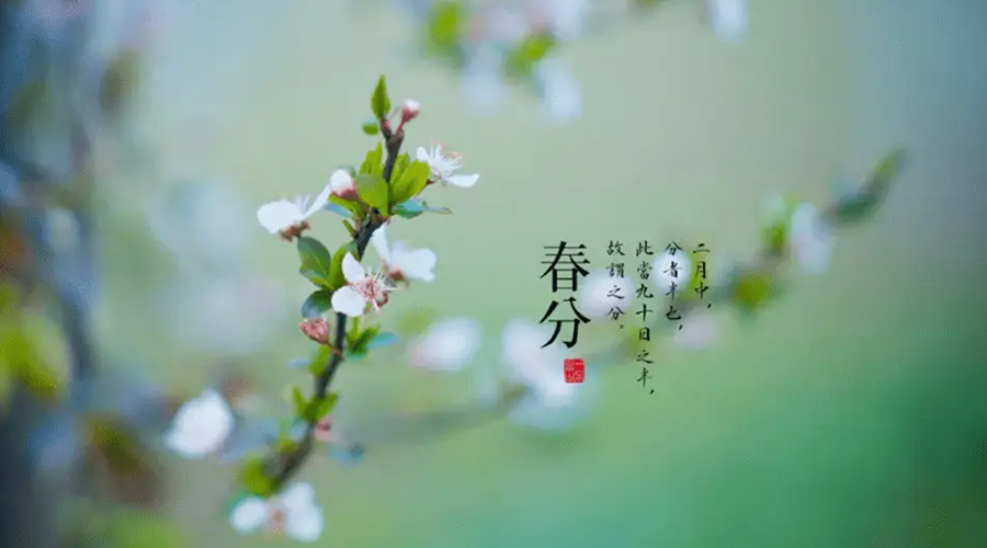 春分雨水多易生菌！金環(huán)電器提醒你衣物要注意處理