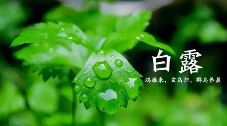 白露時節(jié)！金環(huán)電器提醒大家要注意的事項