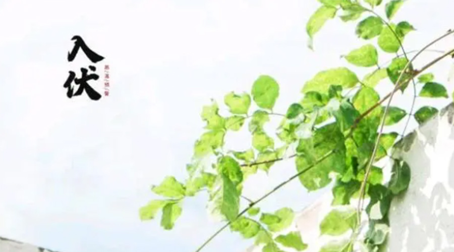 初伏時節(jié)！金環(huán)電器提醒大家要注意的事項